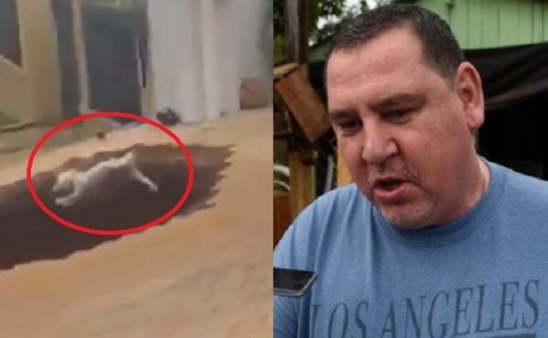 Perrito se roba el protagonismo en "pedido" de informe