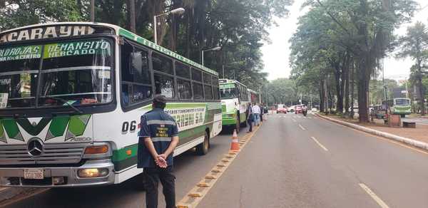 Buses del transporte público vuelven a operar desde este lunes 4 - Noticde.com
