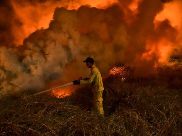 Aumentan incendios forestales y quemas controladas en cuarentena