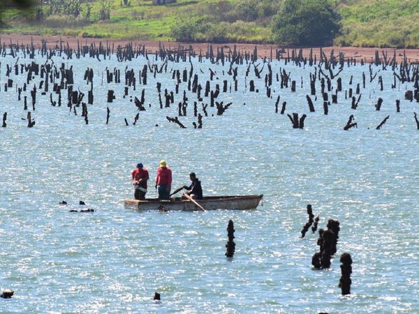 Falta de lluvia afecta la producción y reduciría el embalse del Acaray