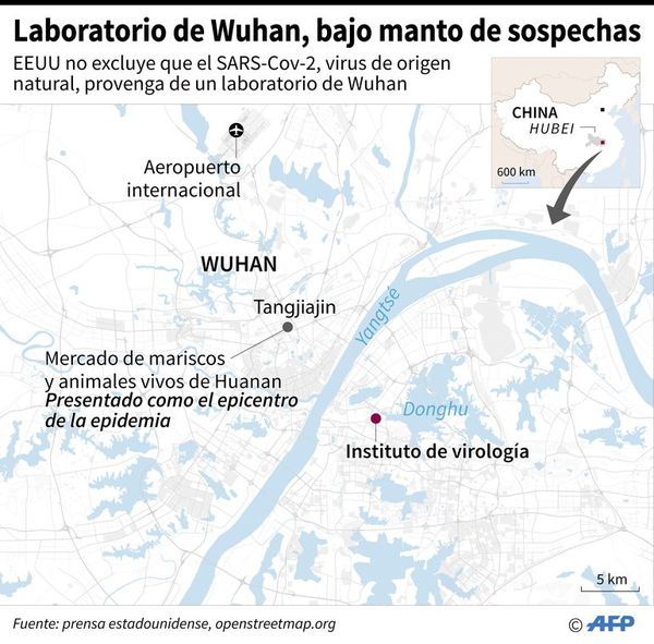 EE.UU. endurece sus acusaciones contra China por origen del virus - Internacionales - ABC Color