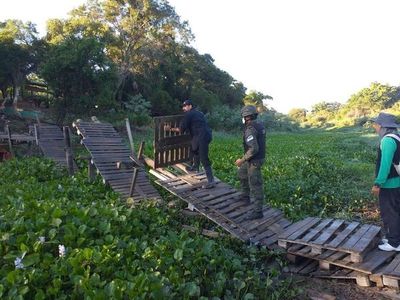 Paraguayos que ingresaron por pasos ilegales a la Argentina fueron expulsados