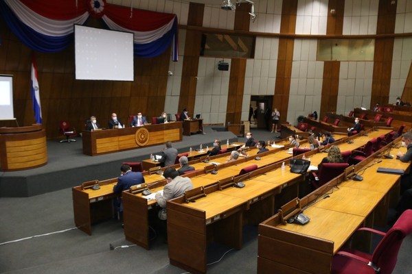 Diputados, ministros y directores de binacionales analizan proyecto que recorta privilegios y gastos superfluos en el Estado - ADN Paraguayo