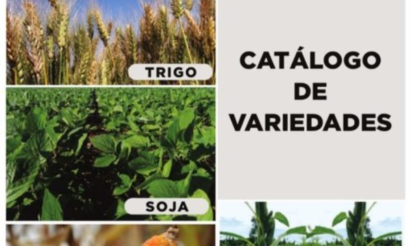 » Ipta presentó catálogo de 6 especies agrícolas