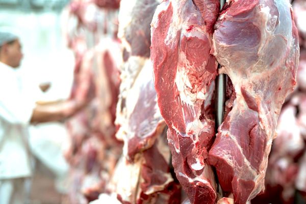 Paraguay exportó 1,5% más de carne bovina hasta abril