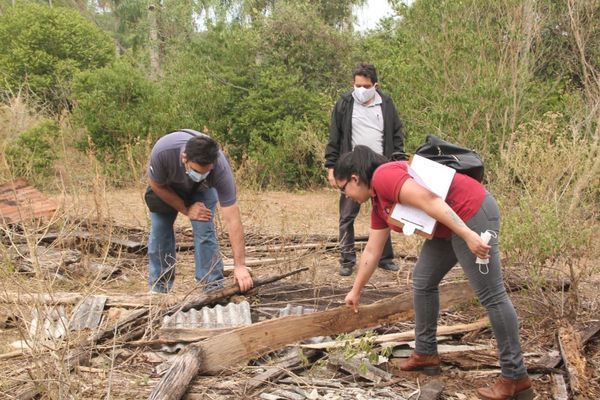 Video confirma descuido de los responsables de Juliette