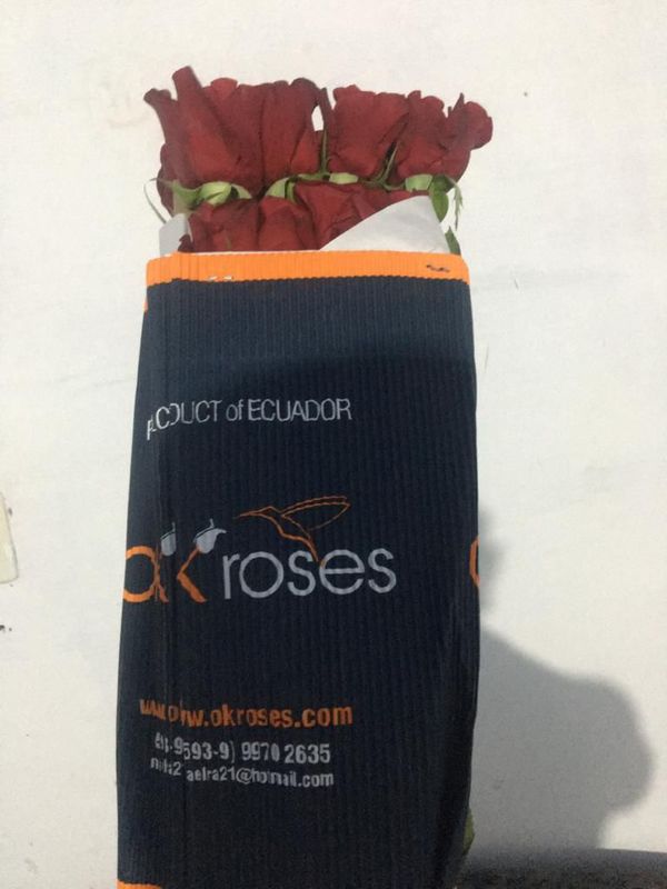 Exigen saber si se cumplió con protocolo sanitario con flores que llegaron de Ecuador - Nacionales - ABC Color