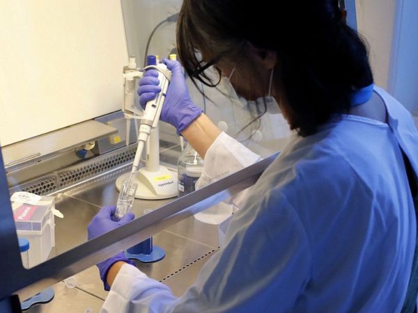 La ciencia halla tratamientos para enfrentar el coronavirus en el mundo
