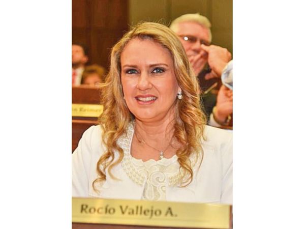 Legisladores solicitan informe y médicos critican “derroche”