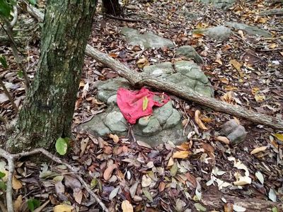 Juliette: confirman que rastros de sangre eran humanos - Nacionales - ABC Color