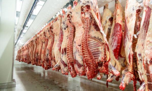 » Exportaciones de carne caen 24% en abril por efecto del Covid-19