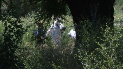 HOY / Hallan cadáver de un joven en Capiatá