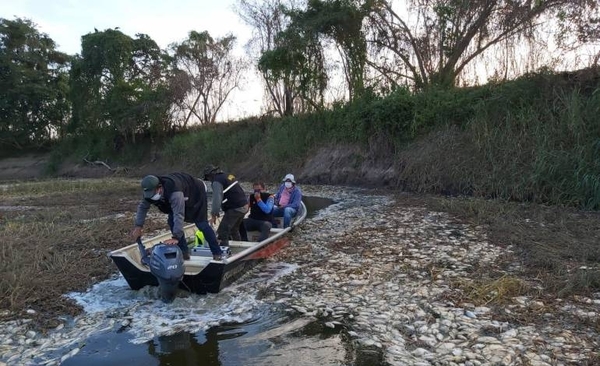HOY / Elevada mortandad de peces en río Montelindo alarma a autoridades y pobladores