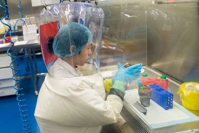 La OMS considera “especulativas” las declaraciones estadounidenses sobre origen del coronavirus  - Mundo - ABC Color