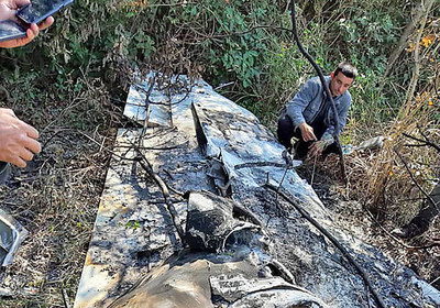 Narcos habrían quemado avioneta que se precipitó a un bosque