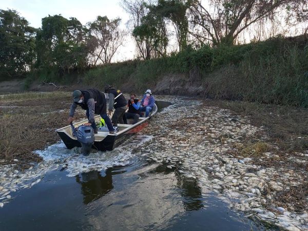 Mortandad de peces en Villa Hayes sería por falta de oxigenación