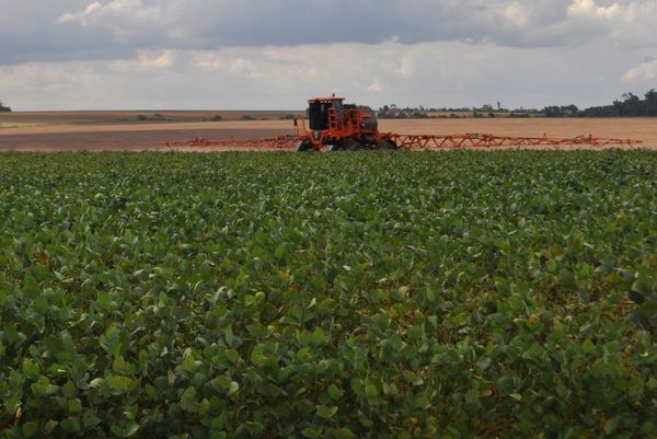 Senado rechazó la creación del impuesto a la soja - Nacionales - ABC Color