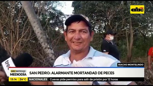 San Pedro: Alarmante mortandad de peces - ABC Noticias - ABC Color
