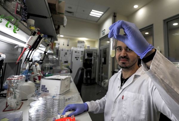 Instituto biológico de Israel avanza en anticuerpo contra el Covid-19