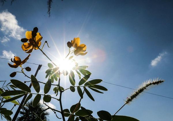 MITAD DE SEMANA CON CLIMA FRÍO A FRESCO Y VIENTOS DEL SUR