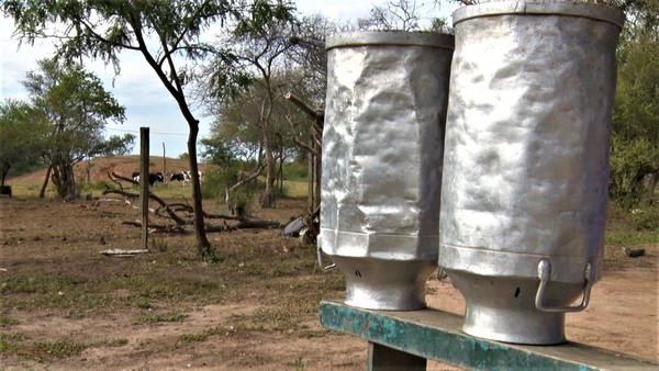 Chaco: Instan a productores de leche a luchar y seguir produciendo ante la crisis actual