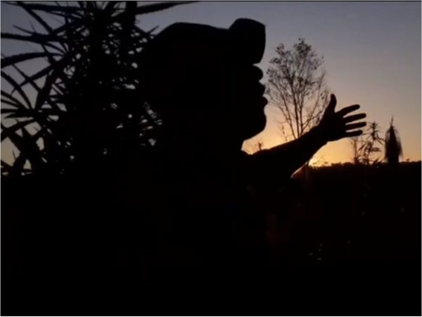 Raperos viralizan música para Capitán Bado, que hace alusión al cultivo de marihuana