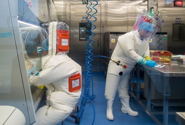 China pide derrotar al coronavirus antes de investigar su origen - Mundo - ABC Color