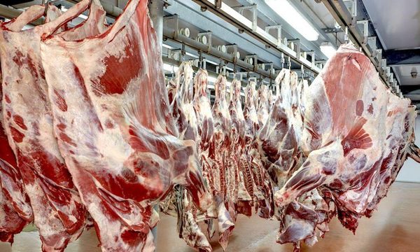 Rabinos vendrán a Paraguay a observar procesamiento de carne a ser exportada a Israel – Diario TNPRESS
