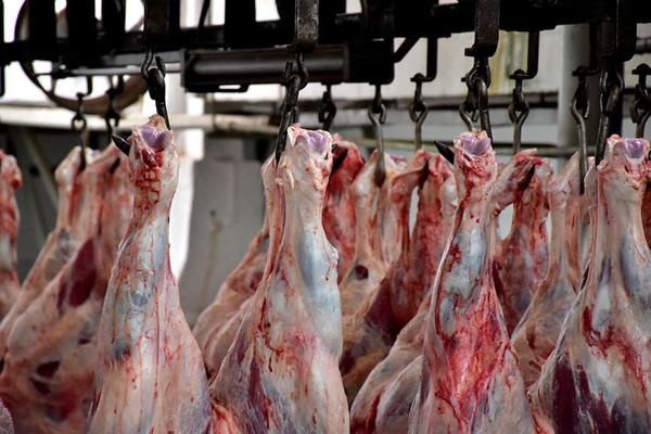 ¿Por qué el precio de la carne no bajó en el mercado local a pesar de la crisis?