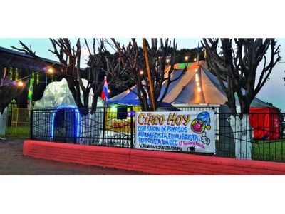 Trabajadores del circo señalan que precisan apoyo para subsistir