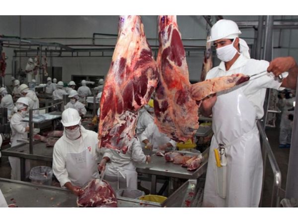 Se reaviva el debate por los precios de la carne y la harina