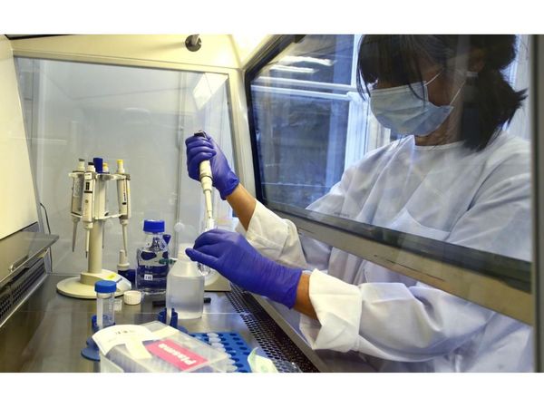 Ensayos clínicos buscan la eficacia en tratamientos  contra el Covid-19