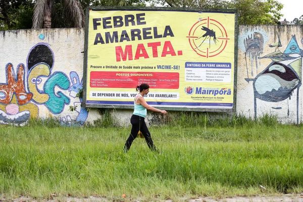 Muerte de monos en Brasil enciende alarma e instan a vacunarse contra la fiebre amarilla - Nacionales - ABC Color
