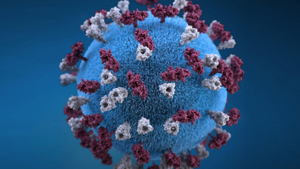 Covid-19: 22 nuevos casos confirmados en el país