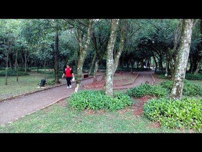 ACTIVIDAD FÍSICA INDIVIDUAL ES CONTROLADA POR EL MUNICIPIO