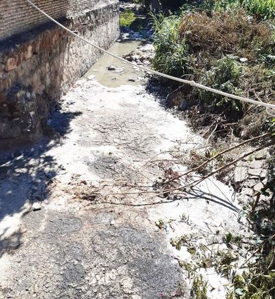 Empresa procesadora de carne contaminaba arroyo capitalino