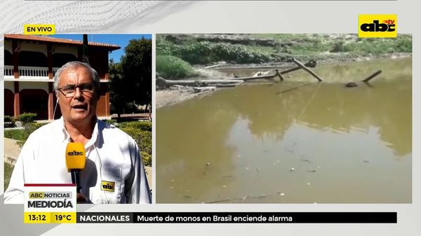 Cazan yacarés en el Chaco - ABC Noticias - ABC Color