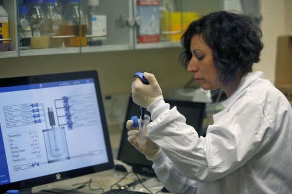 Investigación no halla ventajas ni daños en uso de hidroxicloroquina contra COVID-19