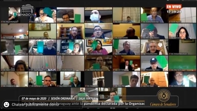 HOY / Extensión de mandato de intendentes y concejales: Senado se ratifica en su versión original