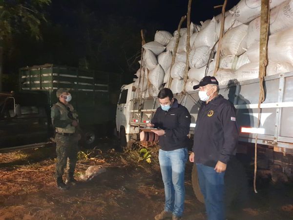 Incautan 6 mil kilos de marihuana en Yby Pytã, Canidenyú