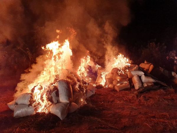 En total intentaban mover más de 7 toneladas de marihuana - Nacionales - ABC Color