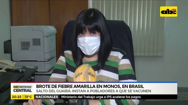 Brote de fiebre amarilla en monos, en Brasil, alerta a Salto del Guairá - ABC Noticias - ABC Color