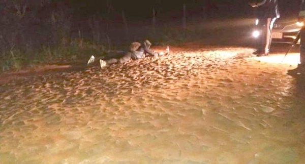 ¡Con razón que corre!: casi mata a poli ndaje | Crónica