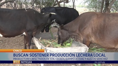 LA COOPERACIÓN VECINAL CHORTITZER ACOMPAÑA CON ASESORAMIENTO TÉCNICO A LOS PRODUCTORES