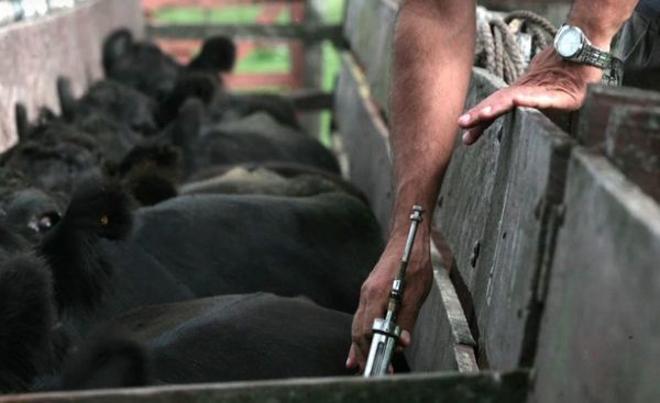 Preocupa a argentinos suspensión