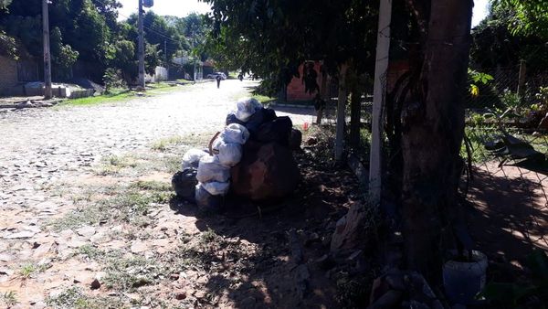 Denuncian que no recogen la basura