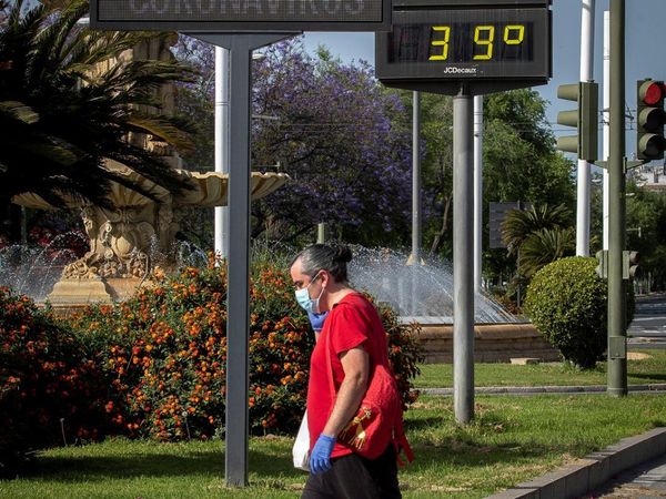 Estudio comprueba que Covid-19 no desaparecerá con alta temperatura