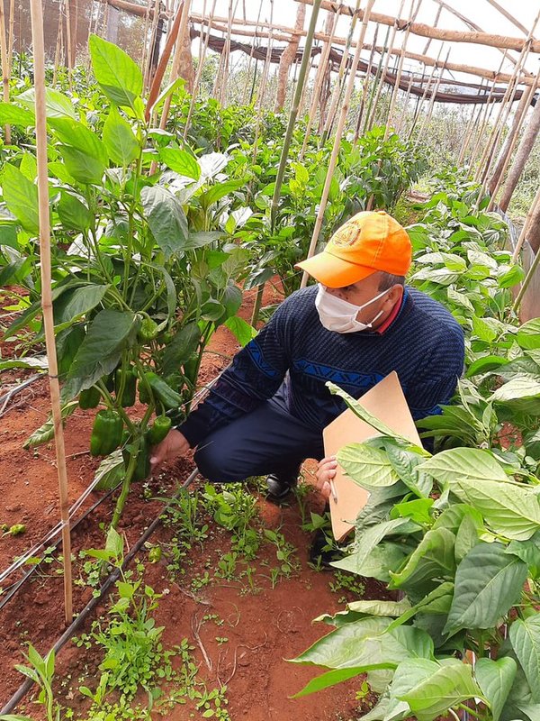 MAG fortalece sector agrario con producción con inserción al mercado - .::RADIO NACIONAL::.