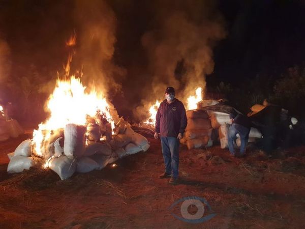 Destruyen más de 7 mil kilos de marihuana en Canindeyú