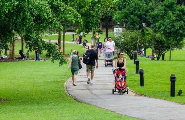 Singapur: 'Perros robots' patrullan para que se respete el distanciamiento social - C9N